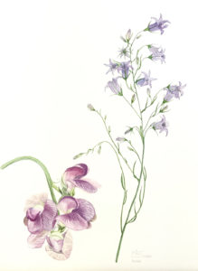 Titelbild1